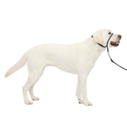 PetSafe Gentle Leader No-Pull Dog Headcollar - Large, Charcoal