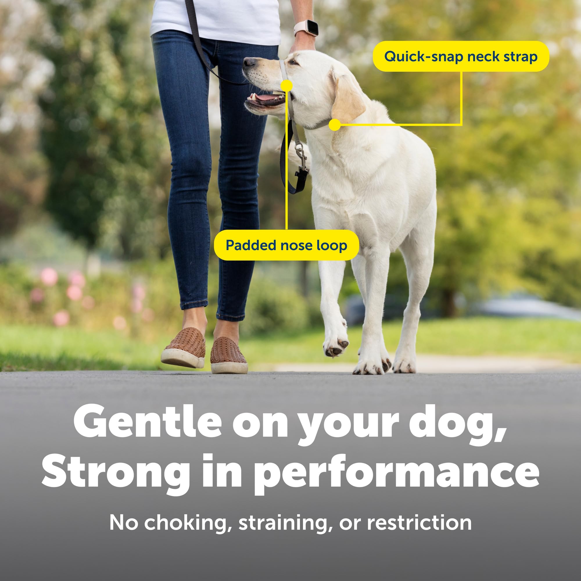 PetSafe Gentle Leader No-Pull Dog Headcollar - Large, Charcoal