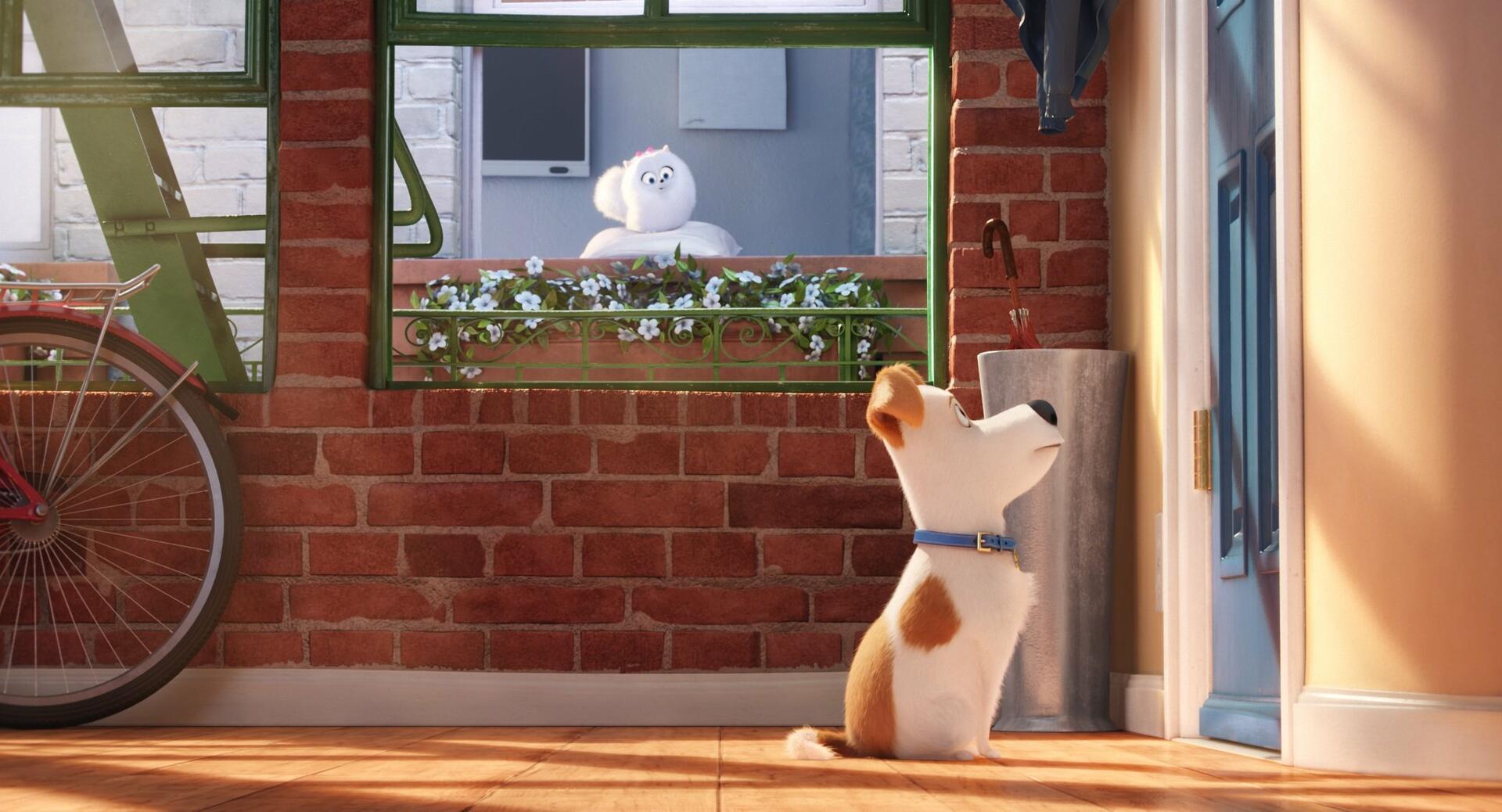 The Secret Life of Pets [DVD]