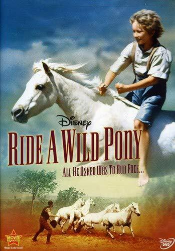 Ride A Wild Pony