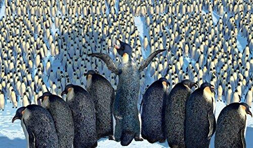 Happy Feet (Full Screen Edition)