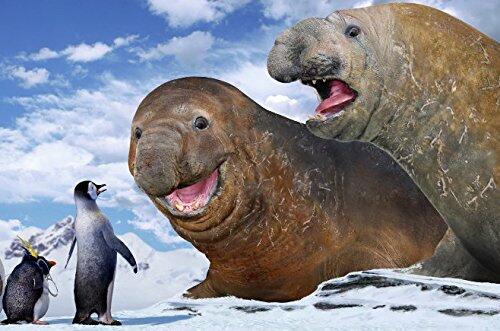 Happy Feet (Full Screen Edition)