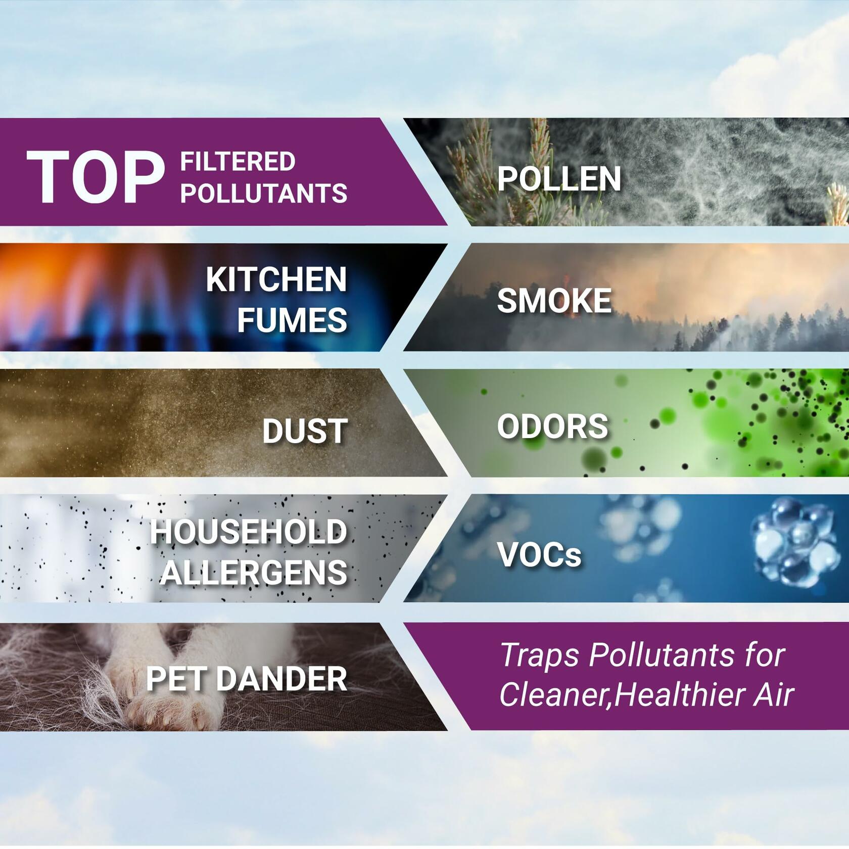 Winix O Filter, 1 Count (Pack of 1), for A230 and A231 Black