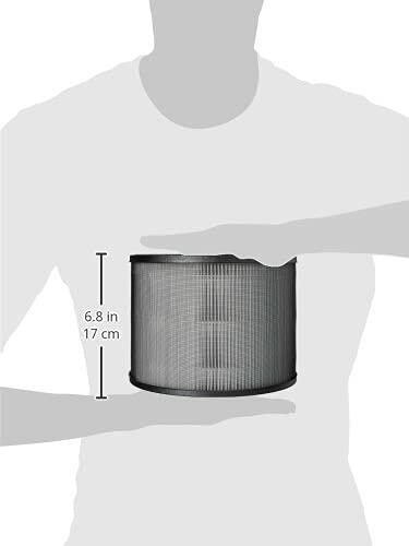 Winix O Filter, 1 Count (Pack of 1), for A230 and A231 Black